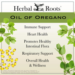 Mediterranean oregano oil pour showcasing premium extract for daily wellness.