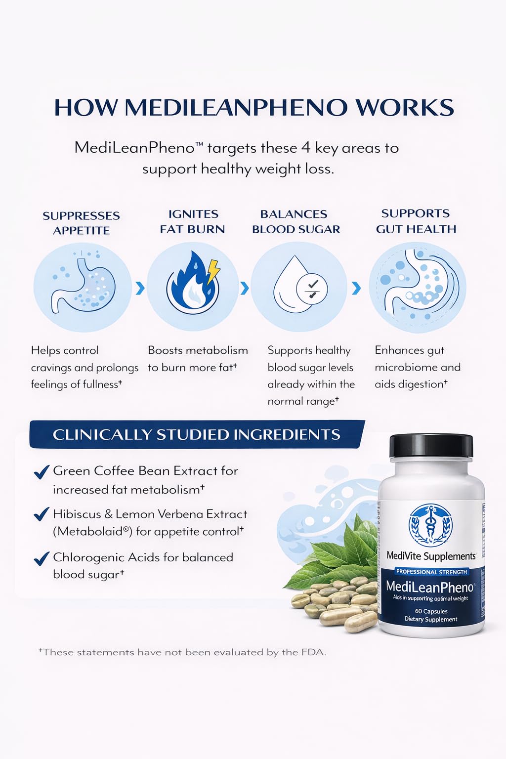 MediVite MediLeanPheno magnesium supports digestive health and regularity