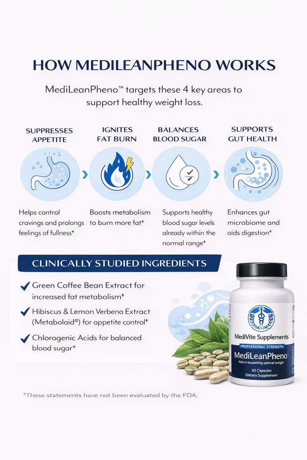 MediVite MediLeanPheno magnesium supports digestive health and regularity
