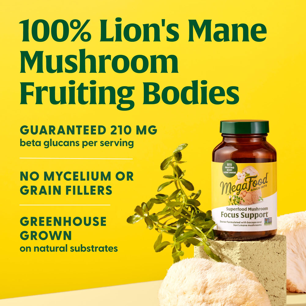 MegaFood Lions Mane capsules poured into water, ready for daily mindful support.