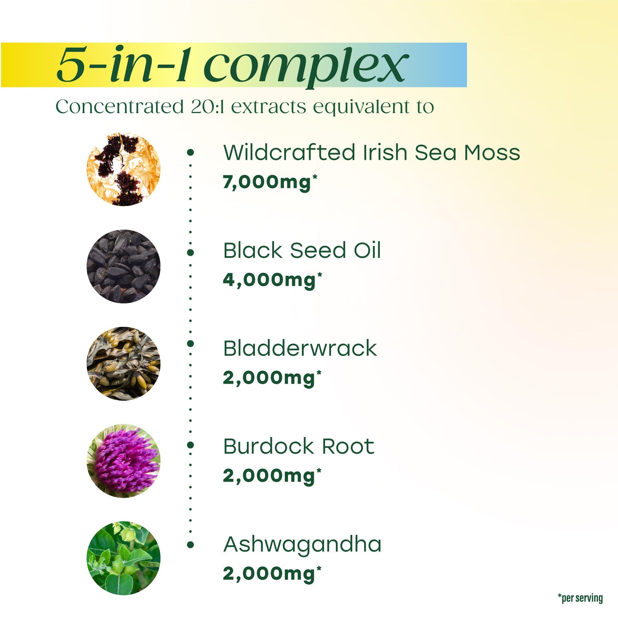 MegaFood Sea Moss Complex bladderwrack detail.