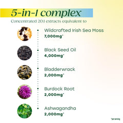 MegaFood Sea Moss Complex bladderwrack detail.