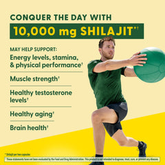 MegaFood Shilajit capsules close-up for daily energy