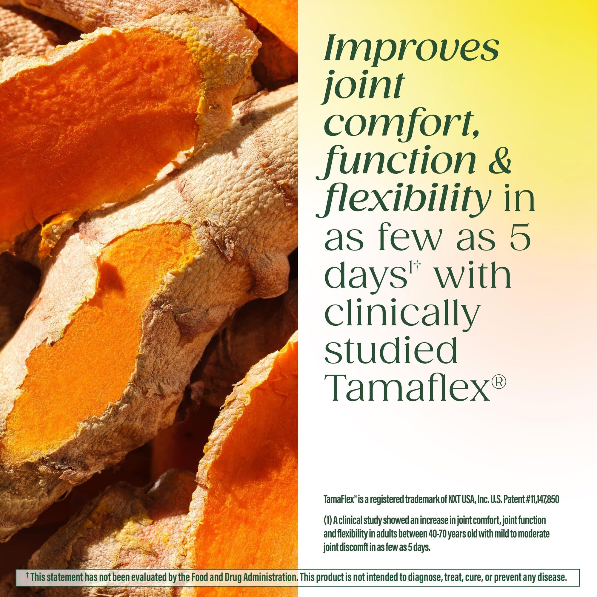 MegaFood Fast-Acting Turmeric Supplement – TamaFlex Clinically Studied ...