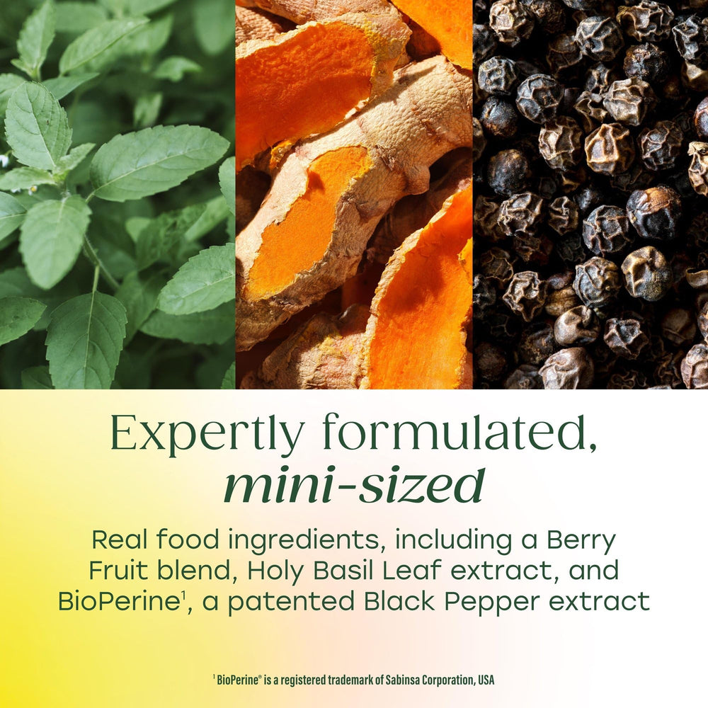 MegaFood turmeric-curcumin minis bottle highlights quality and purity