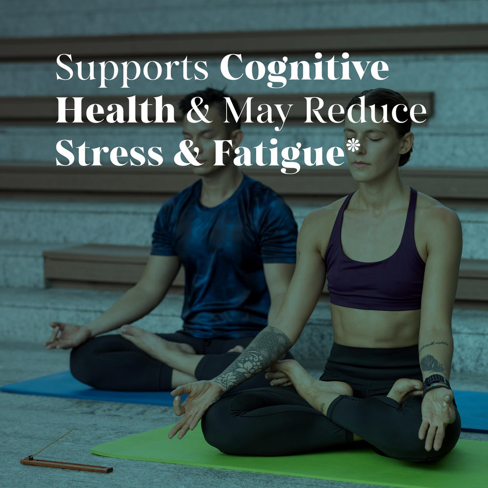 MEIBOTAN Tyrosine 500mg daily routine scene suggests sustained energy and focus