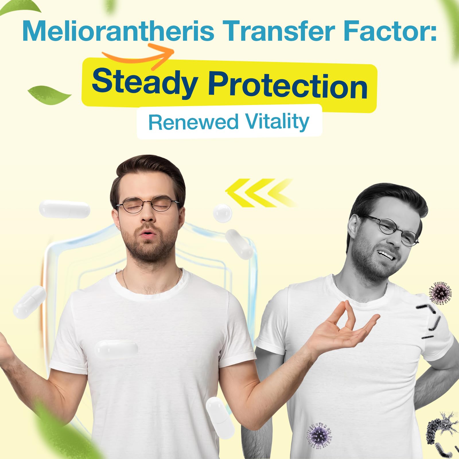Meliorantheris Transfer Factor botanicals with green tea and olive leaf for balanced wellness.