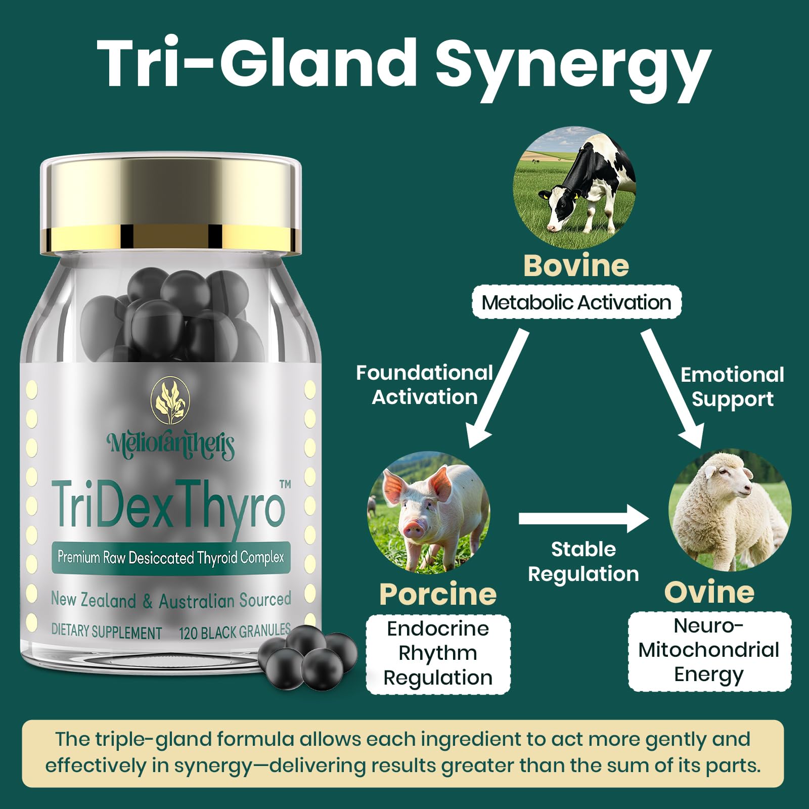 Capsules show natural sourcing from bovine, porcine, and ovine ingredients.