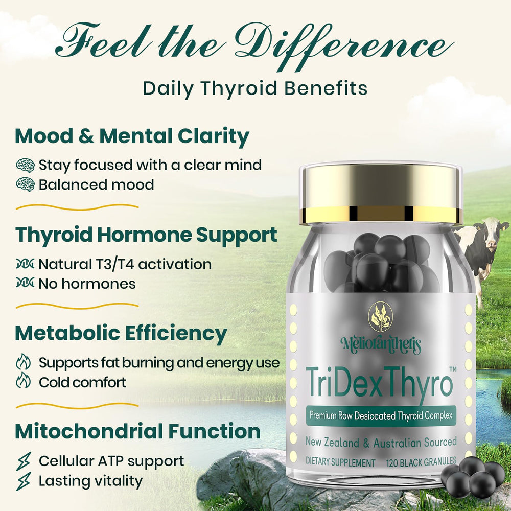 Meliorantheris TriDexThyro raw desiccated ingredients displayed for premium sourcing.