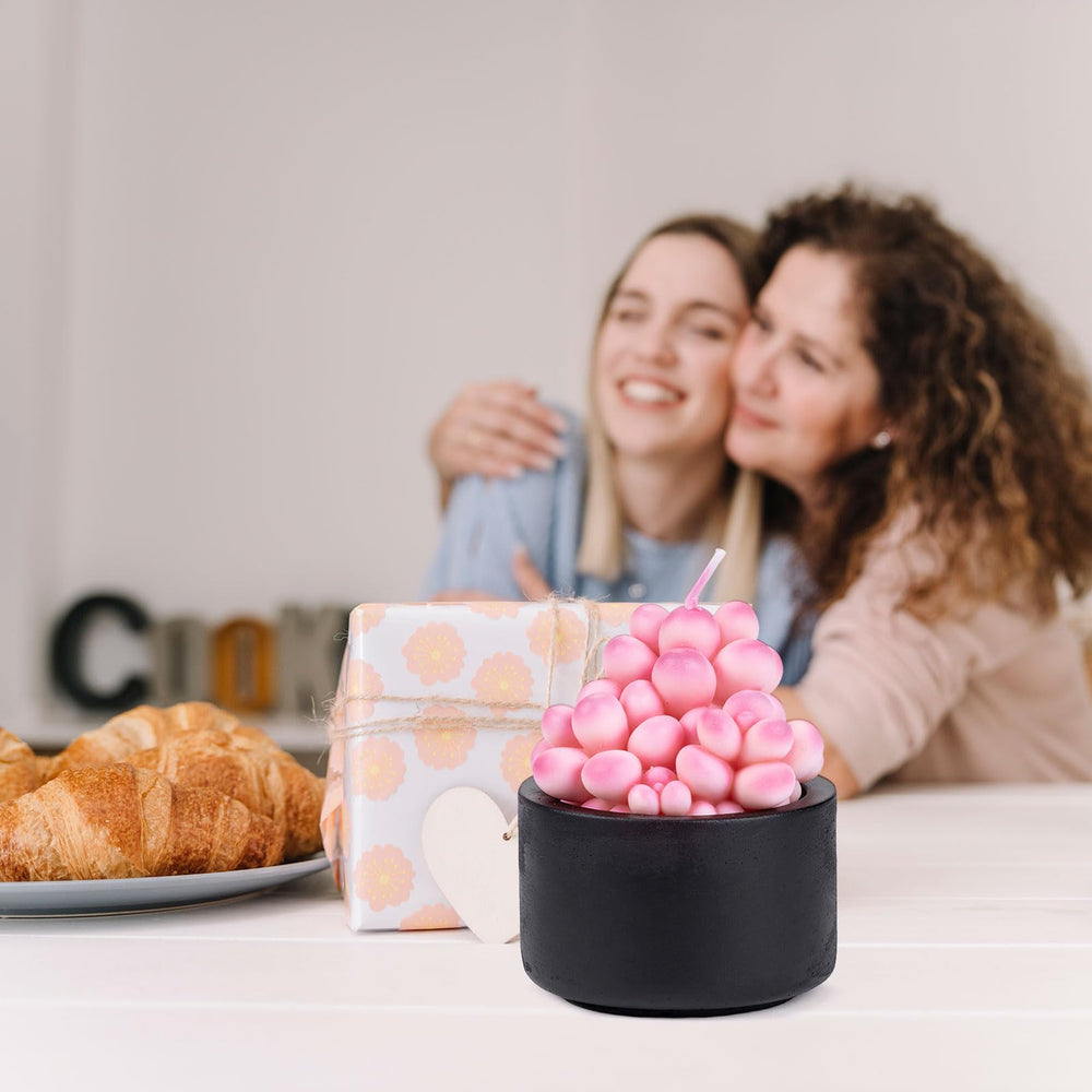 Mesiiloly candle transforms into a stylish planter after use