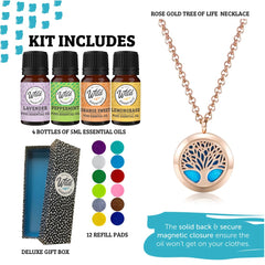 mEssentials Wild Essentials diffuser oil bottles with lavender, lemongrass, orange, peppermint for mood support.