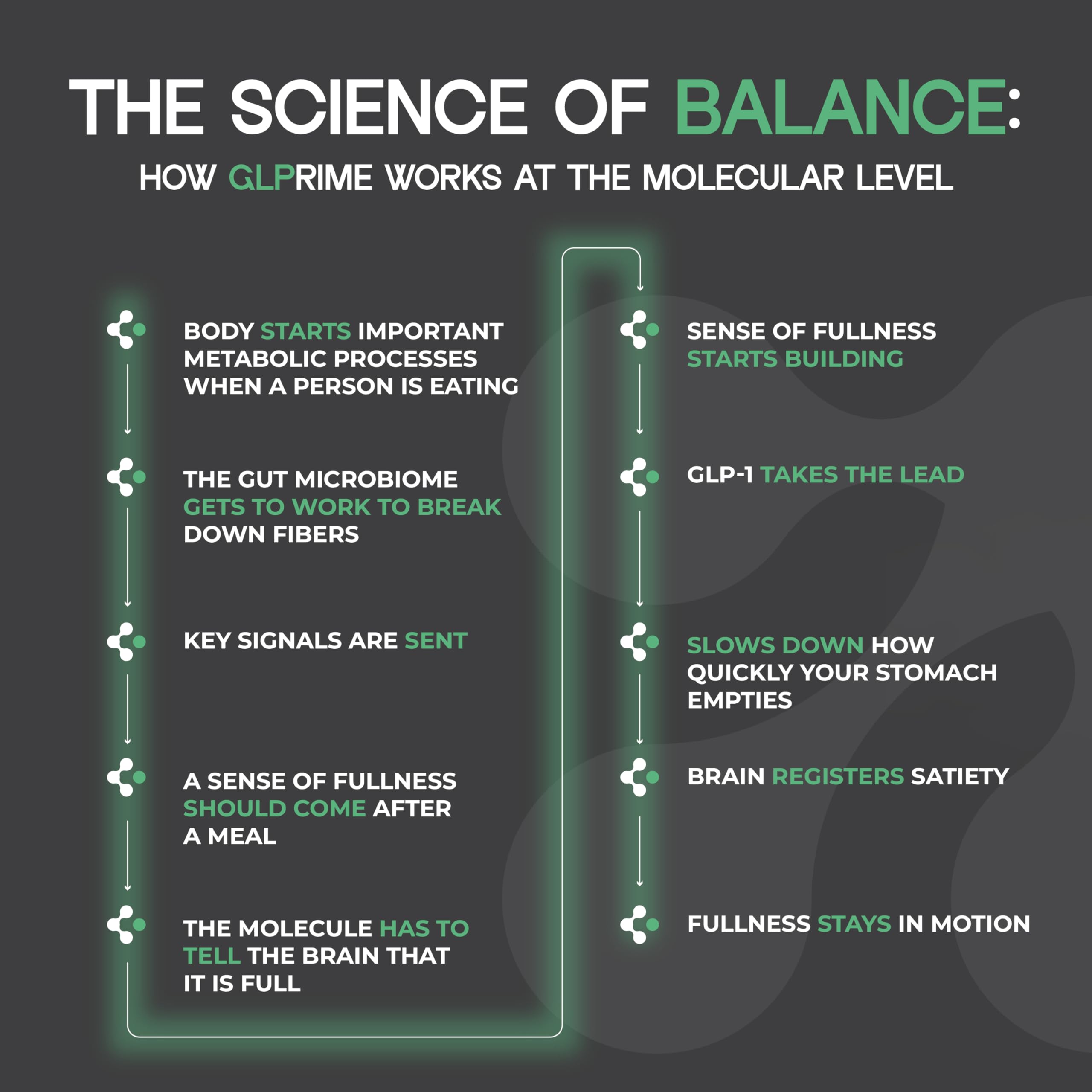 METAERA GLP-1 Synergy nutrition facts label underscores GLP probiotic benefits.