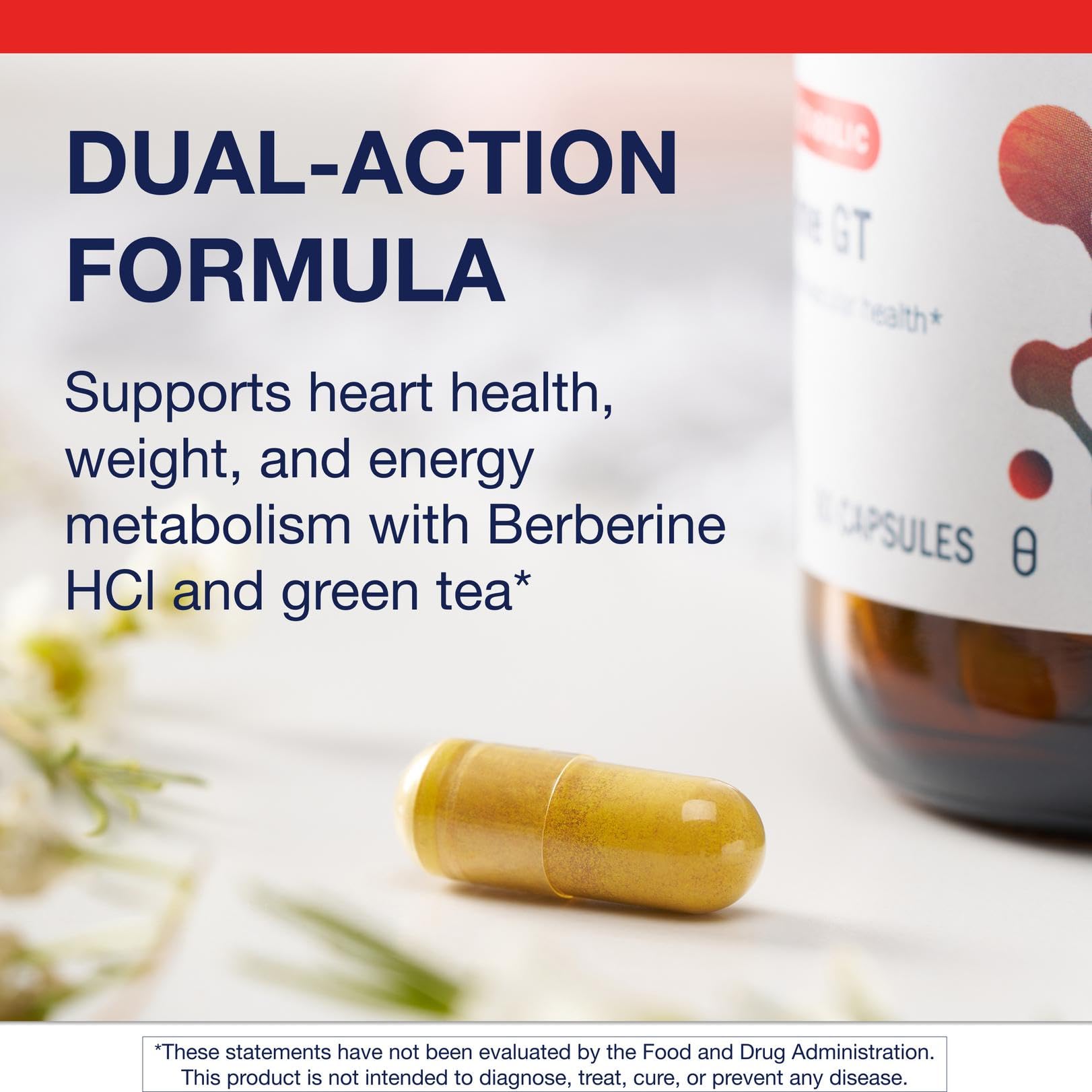 Metagenics Berberine GT decaffeinated green tea extract detail offering polyphenol support.