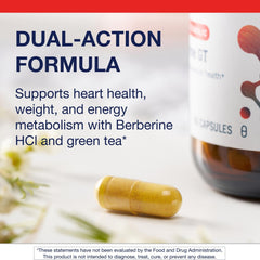 Metagenics Berberine GT decaffeinated green tea extract detail offering polyphenol support.