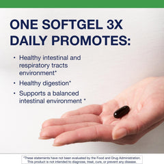 Metagenics CandiBactin-AR ingredients featuring sage and lemon balm.