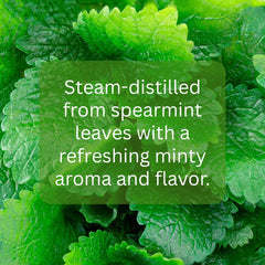 mGanna Spearmint Hydrosol label close-up shows quality seal.