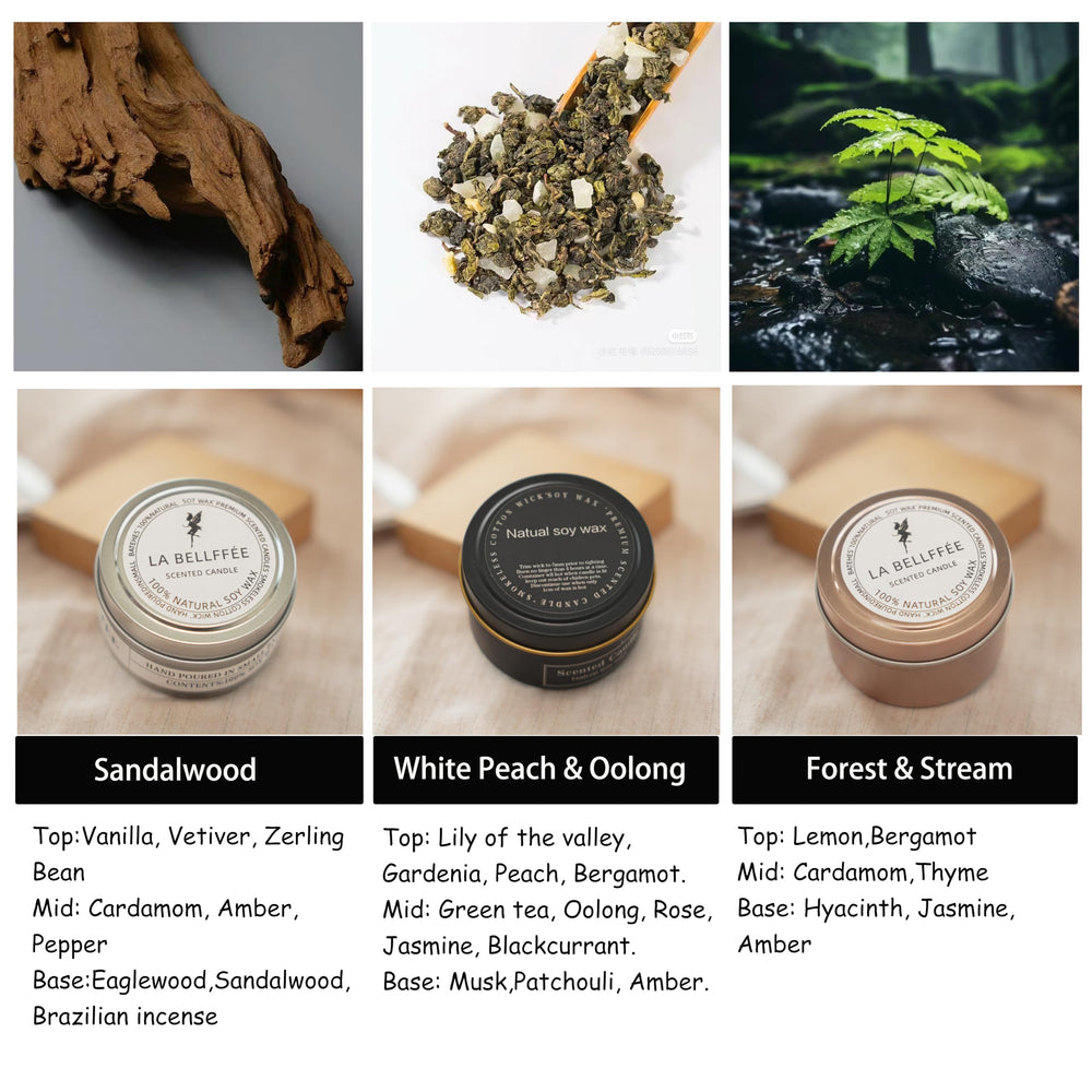 Mgchayoli 3-pack soy candles to refresh any room