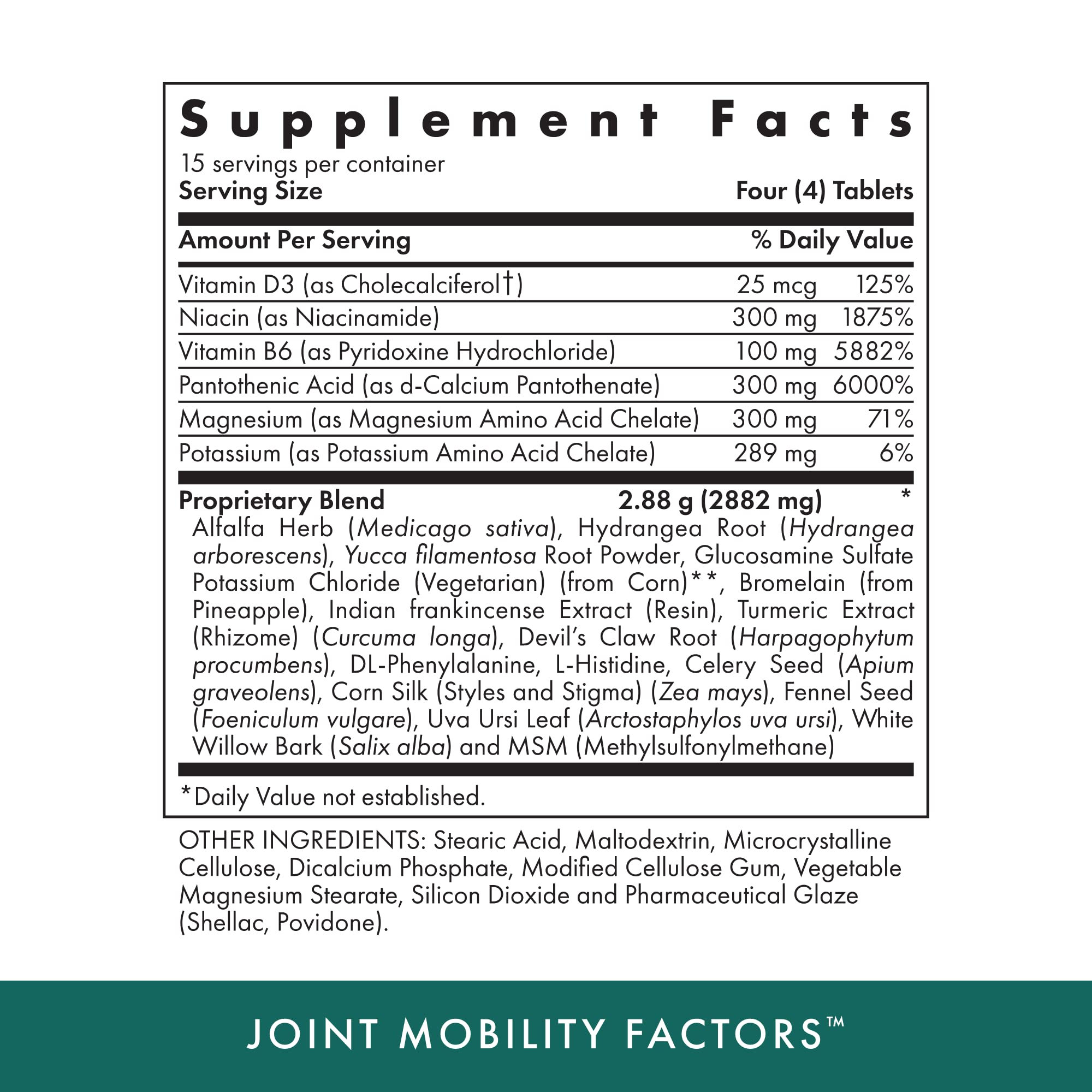 MICHAEL'S vegetarian tablets pack highlighting non-GMO and kosher ingredients