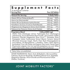 MICHAEL'S vegetarian tablets pack highlighting non-GMO and kosher ingredients