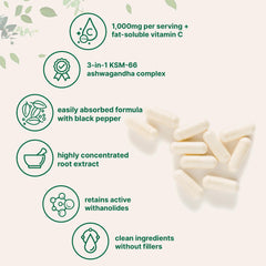 Ashwagandha root extract 5% withanolides potency for daily adaptogenic support.