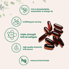 Astaxanthin-rich Micro Ingredients krill oil shown as natural antioxidant source.