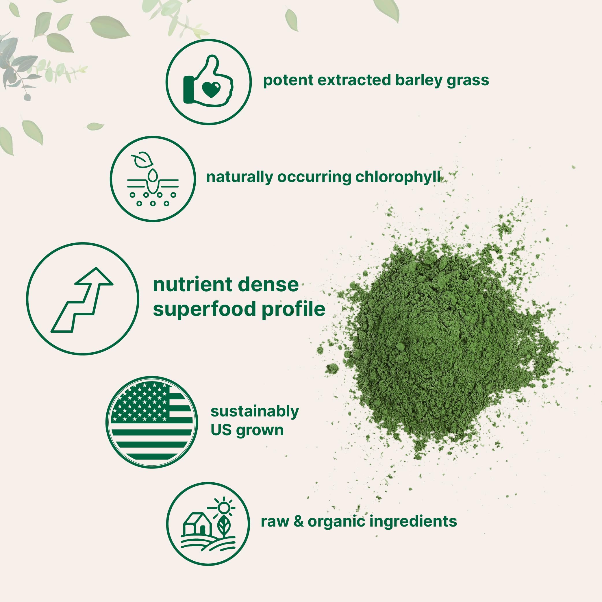 Micro Ingredients Barley Grass Powder poured into water for a refreshing greens drink.