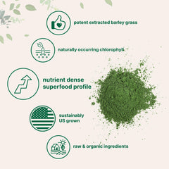 Micro Ingredients Barley Grass Powder poured into water for a refreshing greens drink.
