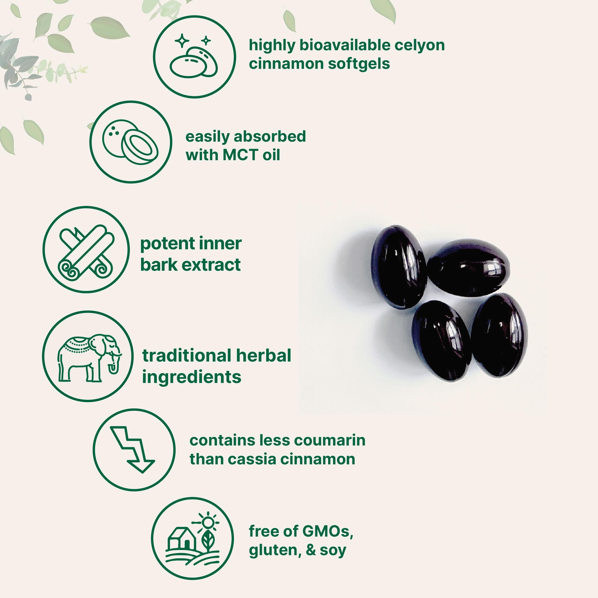 Micro Ingredients Ceylon Cinnamon ingredients label with MCT oil for better bioavailability