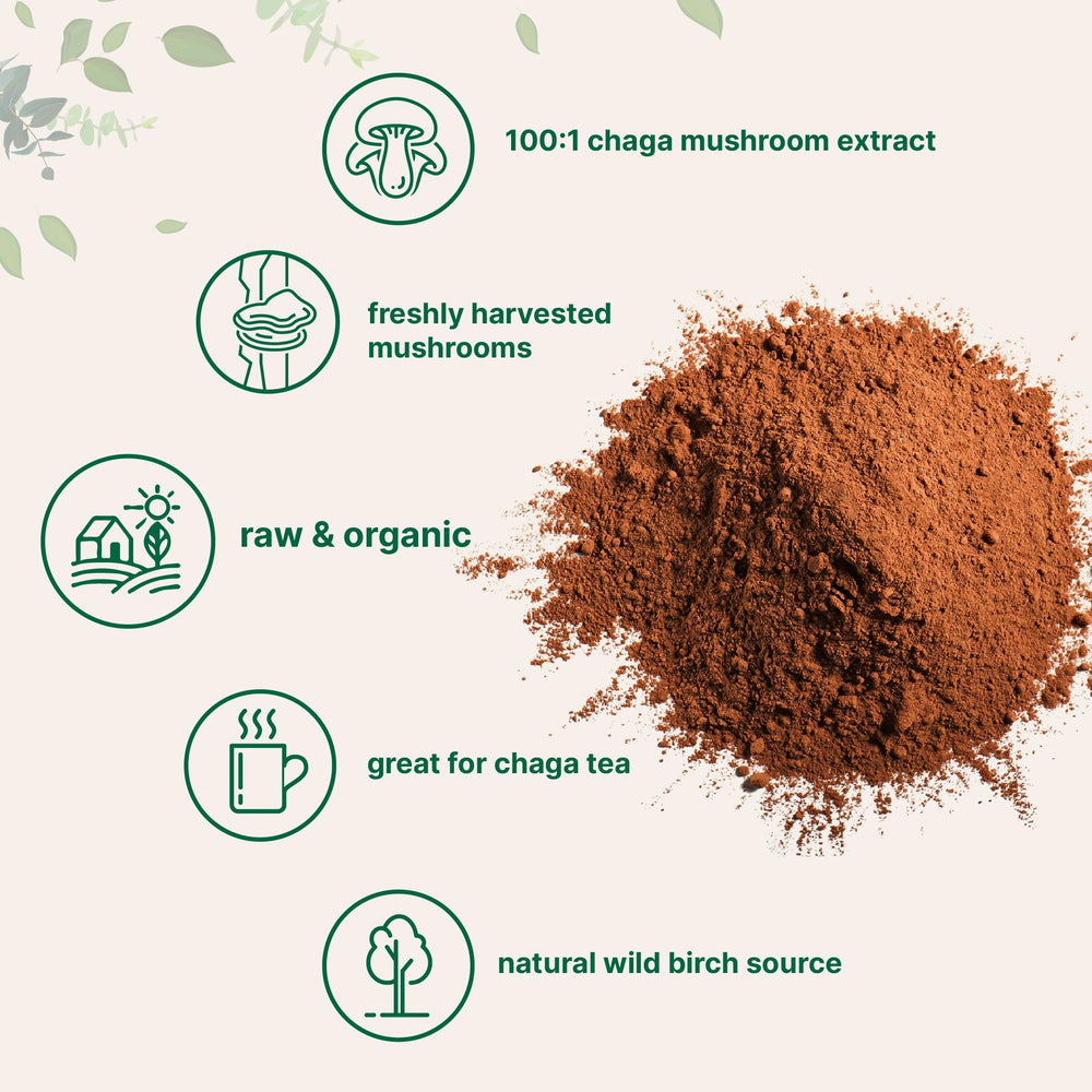 Micro Ingredients chaga tea cup ready for a warm, earthy brew