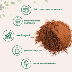 Micro Ingredients chaga tea cup ready for a warm, earthy brew