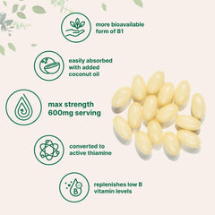 Micro Ingredients coconut oil assist in absorption with benfotiamine softgels