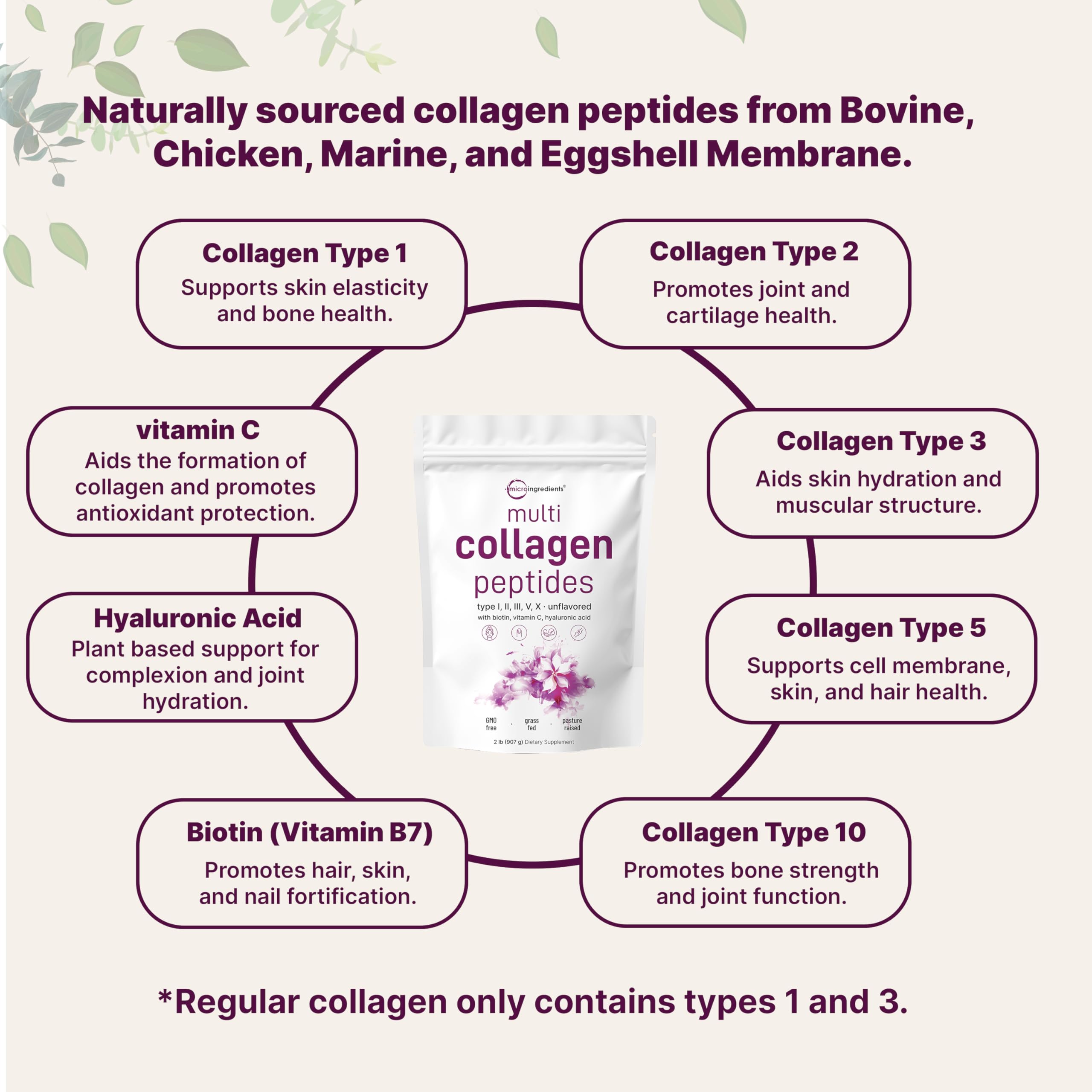 Micro Ingredients collagen types I–X chart highlighting comprehensive spectrum