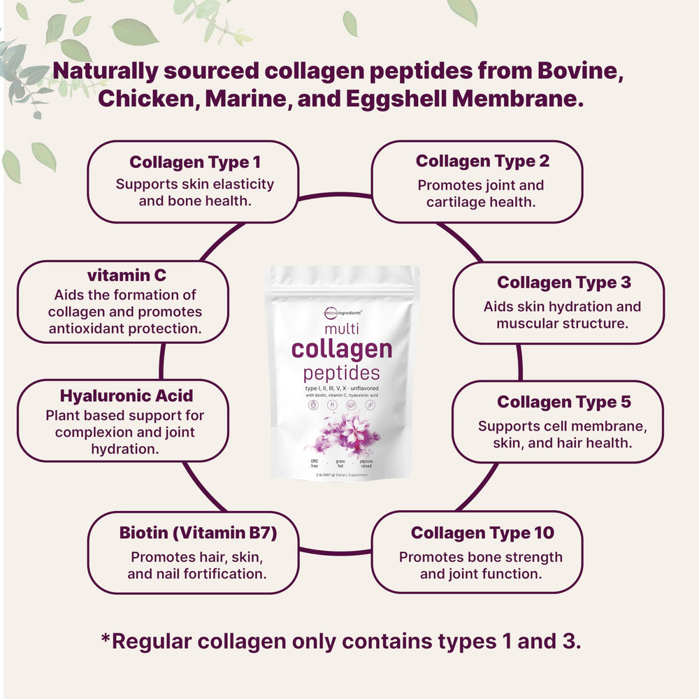 Micro Ingredients collagen types I–X chart highlighting comprehensive spectrum