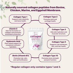 Micro Ingredients collagen types I–X chart highlighting comprehensive spectrum