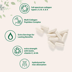 Micro Ingredients collagen types visual, shows five-source blend for broad protein support
