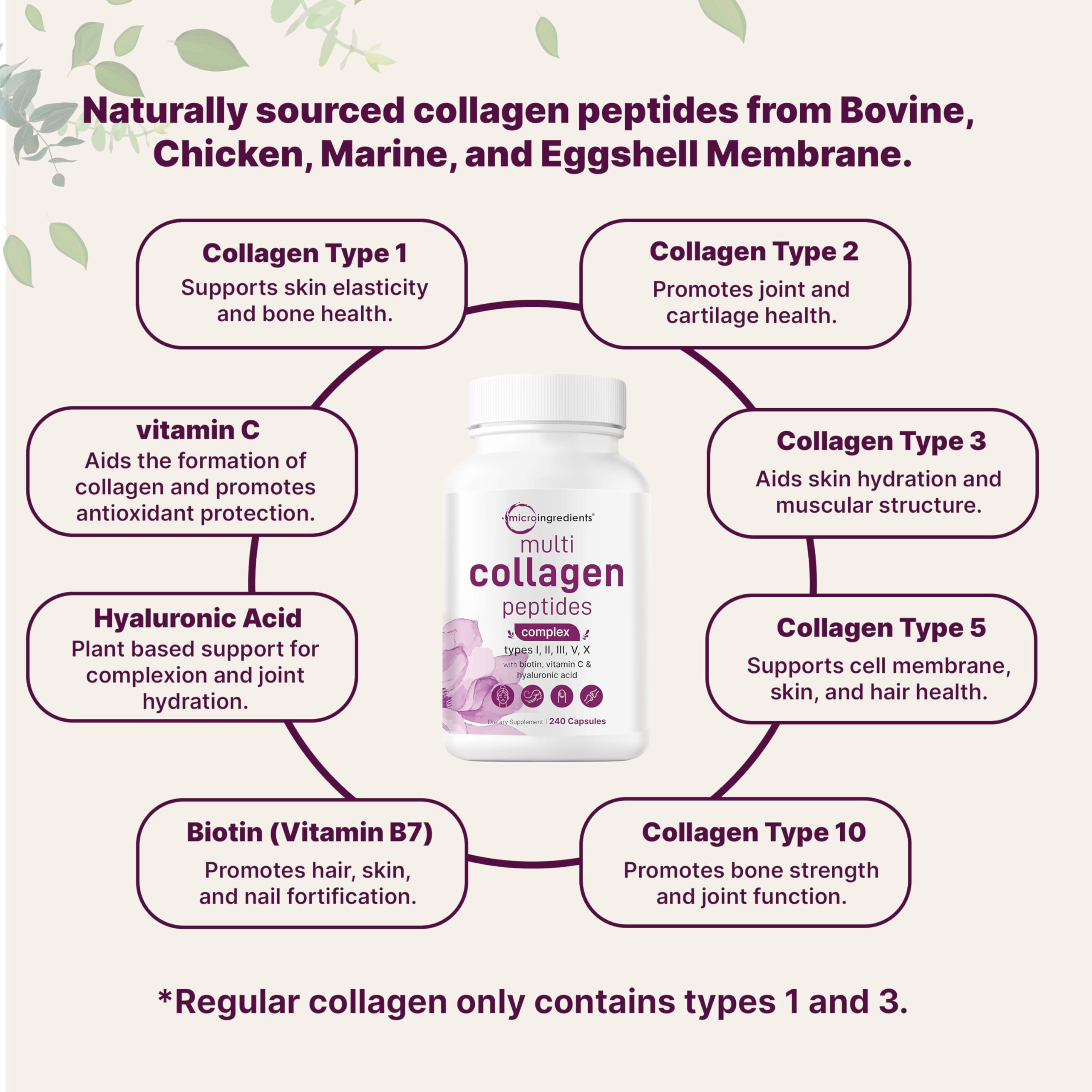 Micro Ingredients fat-soluble vitamin C complex supports collagen utilization
