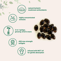 Micro Ingredients ginkgo biloba ginseng lions mane softgels label shows full-spectrum extracts.