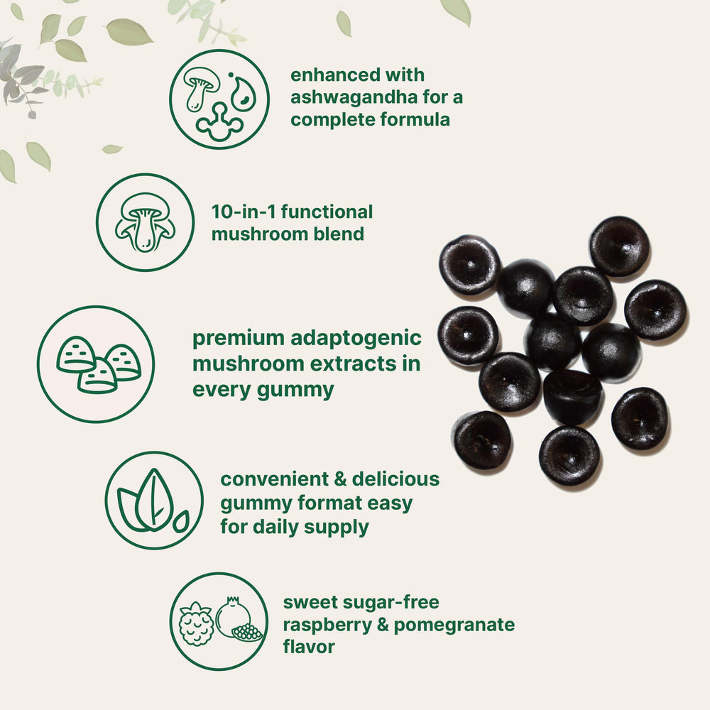 Micro Ingredients Mega Mushroom Gummies label close-up highlighting 10-in-1 formula for daily wellness