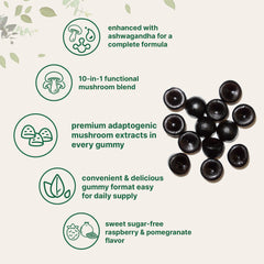 Micro Ingredients Mega Mushroom Gummies label close-up highlighting 10-in-1 formula for daily wellness
