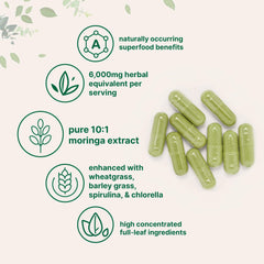 Moringa leaf extract capsule highlighting potent per-dose formula for daily wellness.