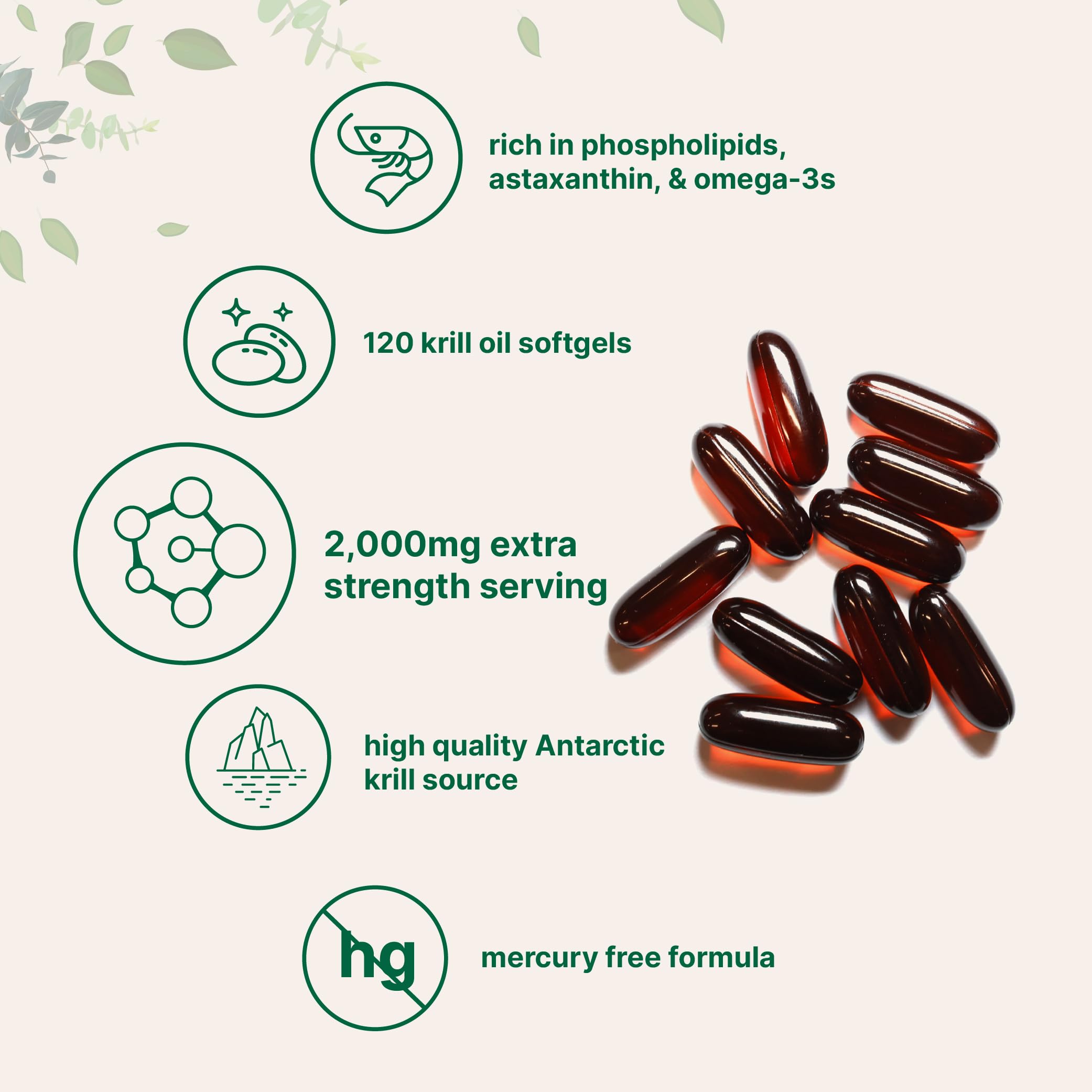 Micro Ingredients phospholipids-structure illustration highlights enhanced absorption.