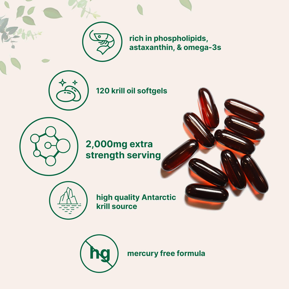 Micro Ingredients phospholipids-structure illustration highlights enhanced absorption.