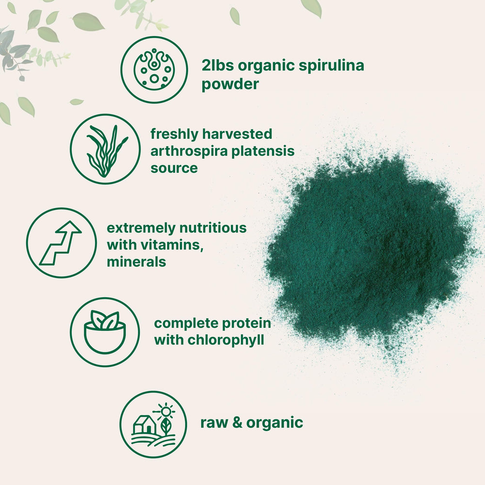 Micro Ingredients spirulina powder with scoop included for easy daily dosing