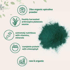 Micro Ingredients spirulina powder with scoop included for easy daily dosing