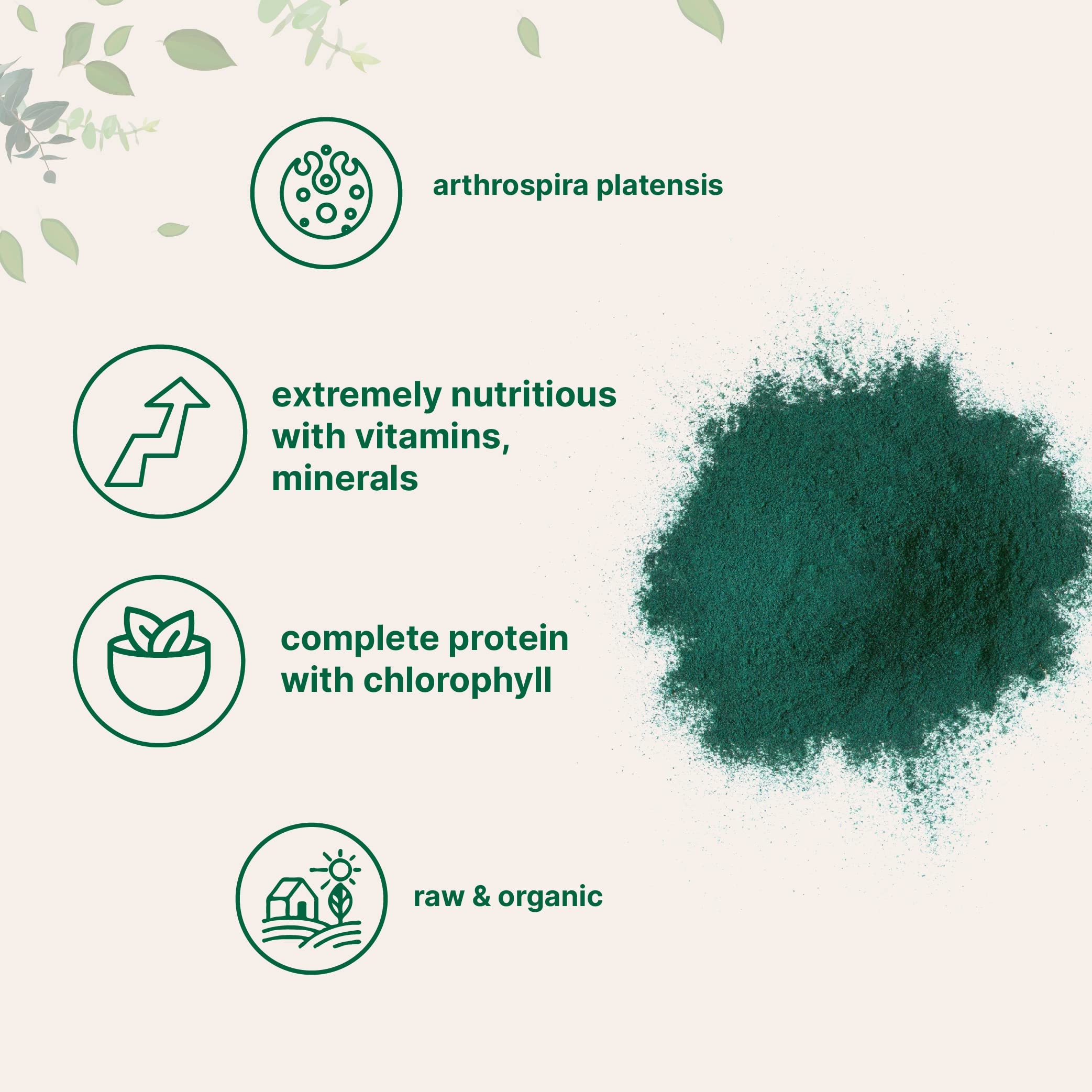 Micro Ingredients spirulina powder shake ready for a greens boost.