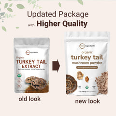 Micro Ingredients Turkey Tail Powder label closeup highlights organic 50:1 extract quality.