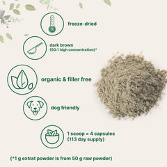 Micro Ingredients Turkey Tail Powder scoop demonstrates precise serving for easy dosing.