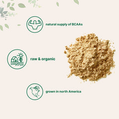 Micro Ingredients vegan protein powder bowl showcases versatile cooking