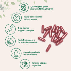 240 vegetarian capsules indicate daily consumption options and filler-free formula.