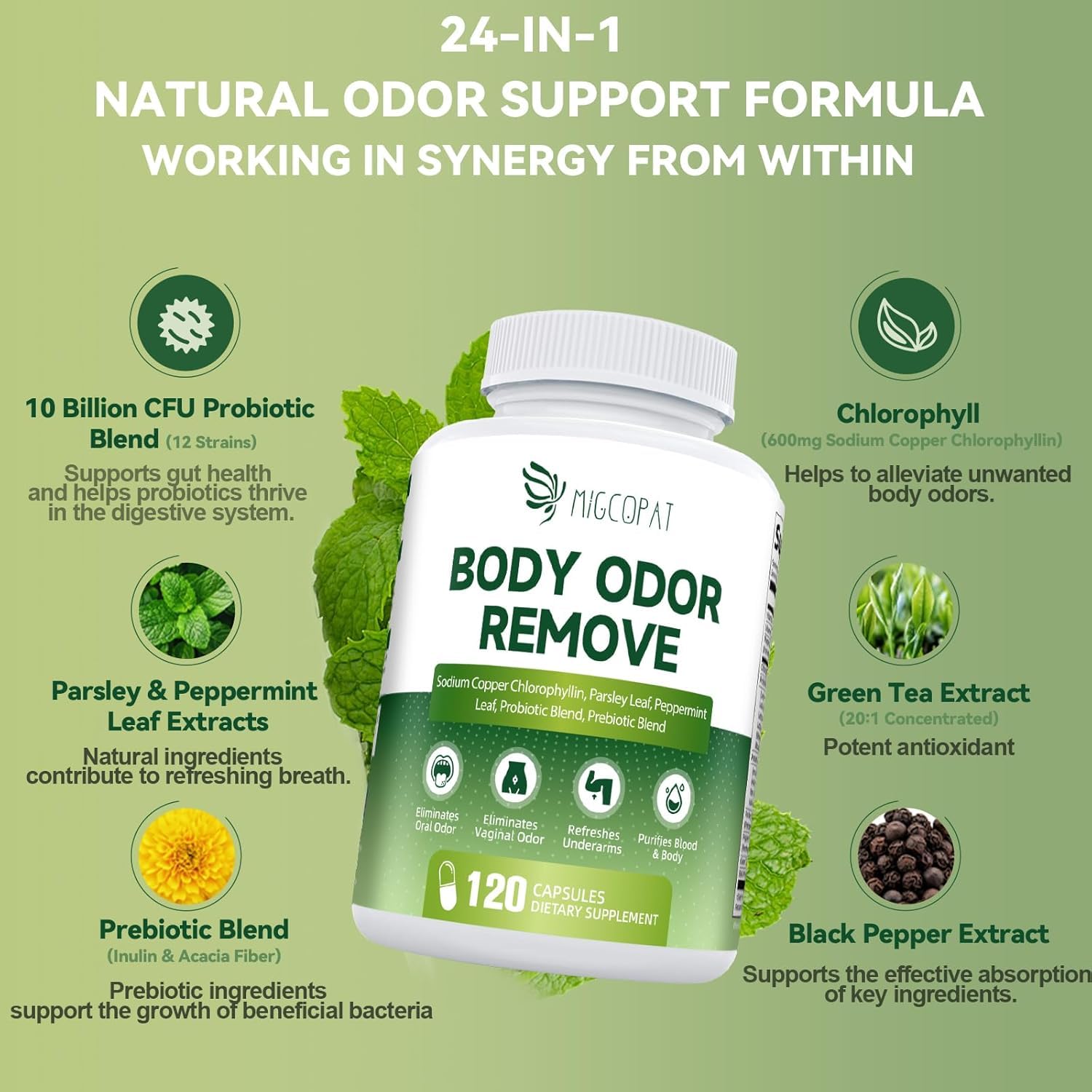 Close-up of Migcopat chlorophyll capsules for easy daily intake.